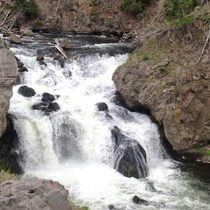 Meet your Posher, Aditi